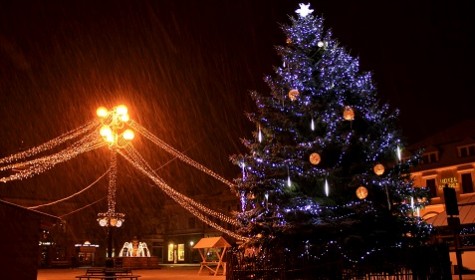 Dejte jméno vánočnímu stromu v Uherském Hradišti