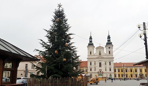 Jméno vánočního stromu posílejte do čtvrtka 29. 11. do 12 hodin